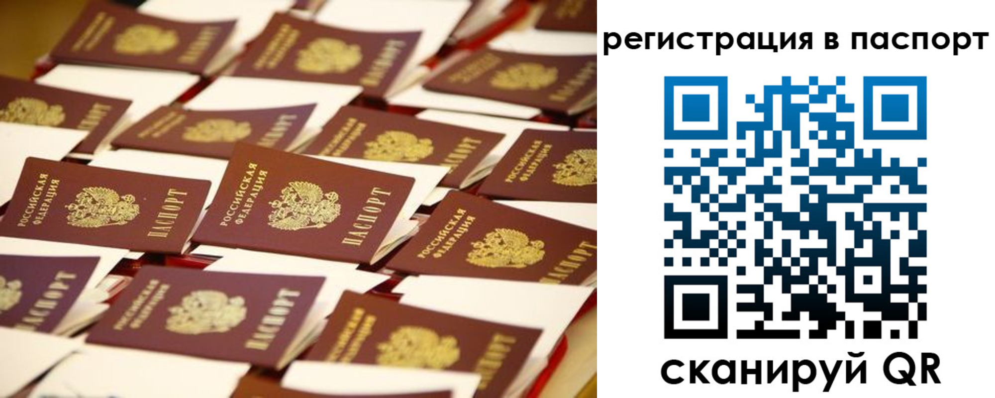 прописка гарантия в Бежецке
